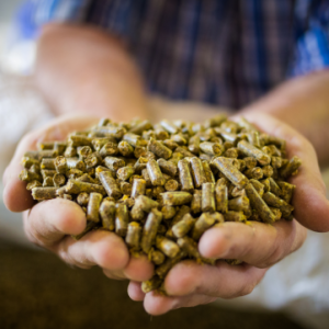 SOYA HULLS